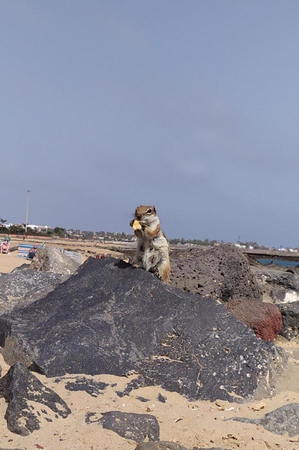 Holiday Rent Fuerteventura 科斯塔德安提瓜 外观 照片